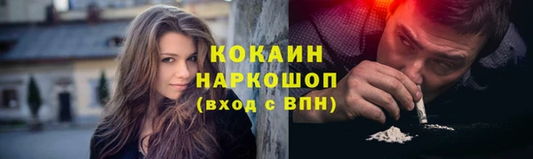 индика Дмитриев