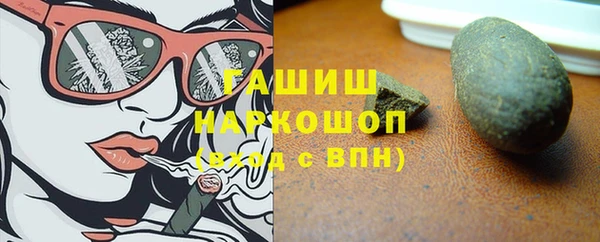 индика Дмитриев