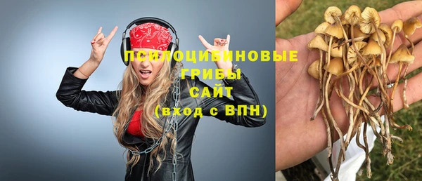 мескалин Гусиноозёрск