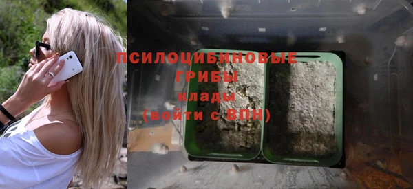 мескалин Гусиноозёрск